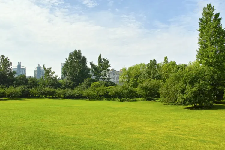 Cập Nhật Chính Sách Pháp Lý Mới Ảnh Hưởng Đến Bất Động Sản Quận 7 Năm 2025