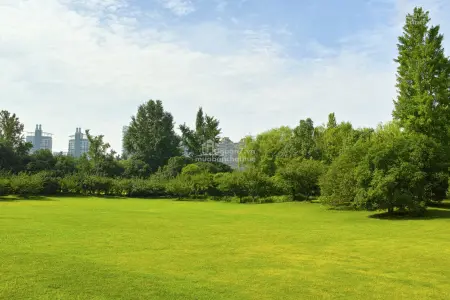 Cập Nhật Chính Sách Pháp Lý Mới Ảnh Hưởng Đến Bất Động Sản Quận 7 Năm 2025