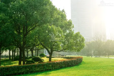 Cập Nhật Luật Đất Đai 2025: Những Điểm Mới Nổi Bật Người Mua Cần Biết