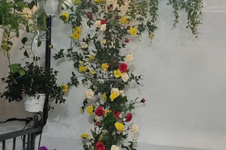 Bán Nhà Mới Full Nội Thất Cao Cấp Gần Đại Học Marketing Quận 7 – Sản Phẩm Hiếm Ở Ngay, Giá Tốt