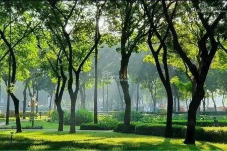 Đất Nền Vị Trí Vàng Quận 7 - Sát Phú Mỹ Hưng – Giá Chỉ Từ 7,35 Tỷ